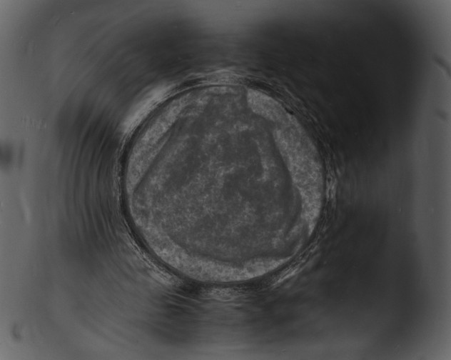 X0000103250341200809251356