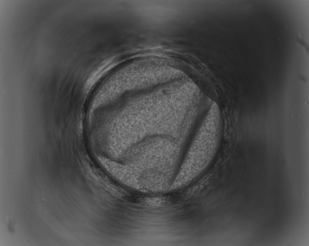 X0000103250344200809251356