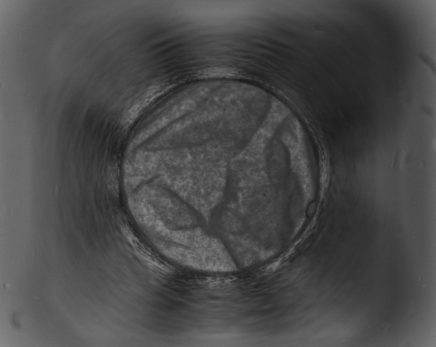 X0000103250345200809251356