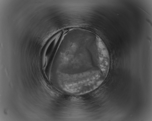 X0000103250346200809251356