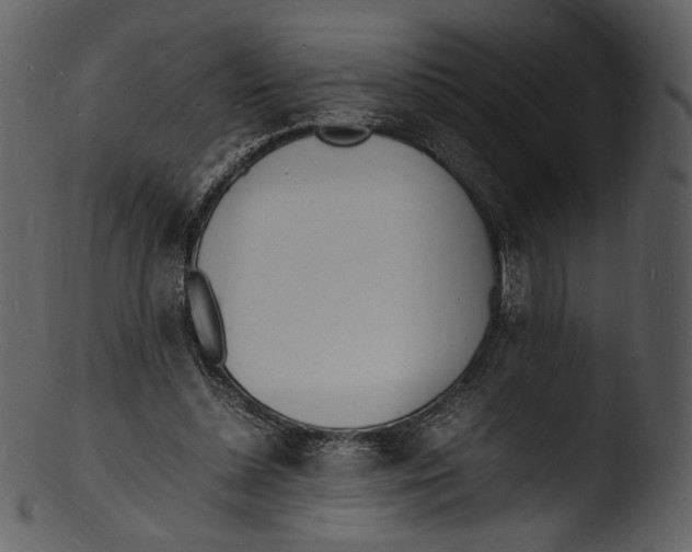 X0000103250348200809251356