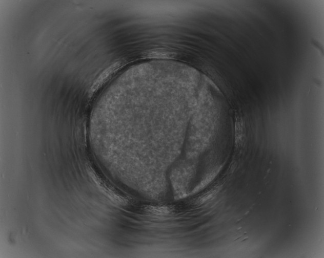 X0000103250349200809251356