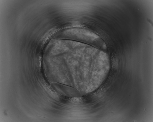 X0000103250350200809251356
