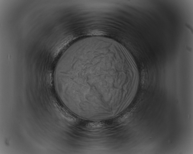 X0000103250351200809251356