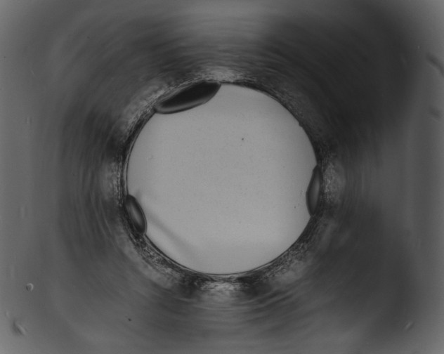 X0000103250352200809251356