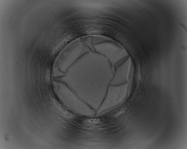 X0000103250353200809251356