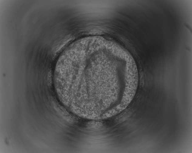 X0000103250354200809251356