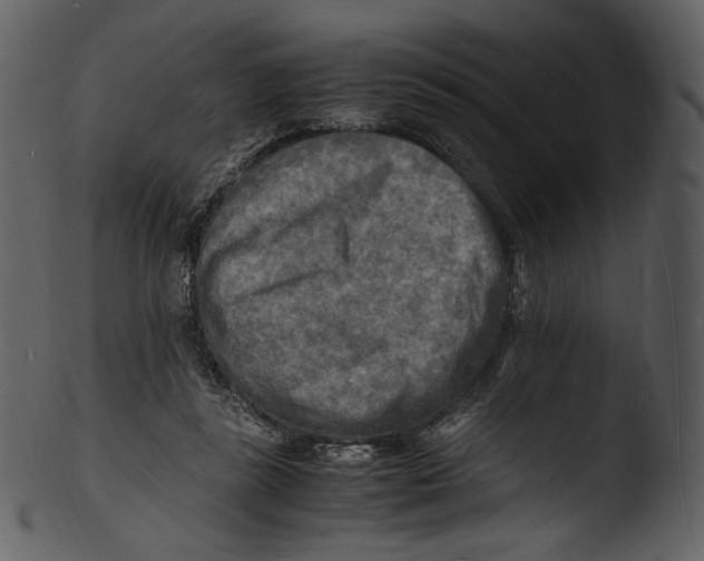 X0000103250355200809251356