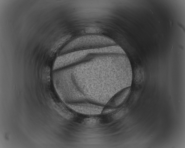 X0000103250356200809251356