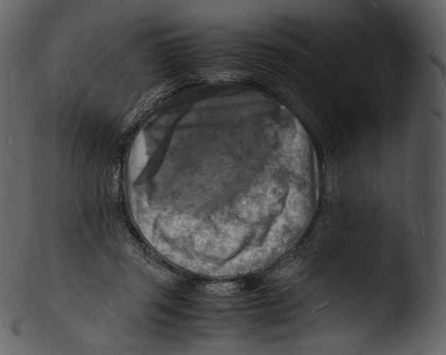 X0000103250357200809251356