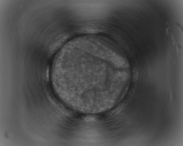 X0000103250358200809251356