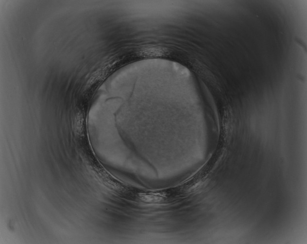 X0000103250359200809251356