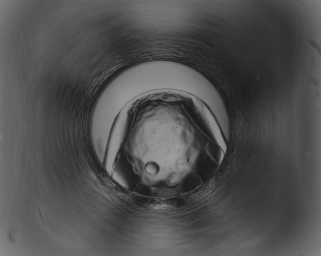 X0000103250360200809251356