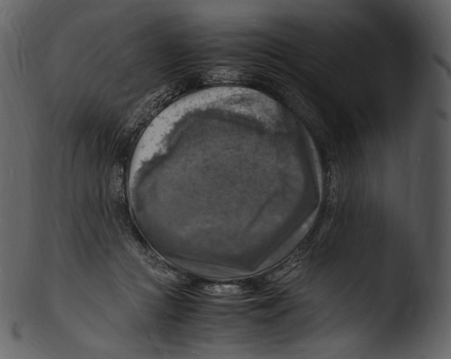 X0000103250361200809251356