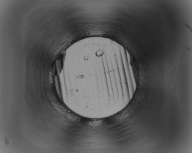 X0000103250362200809251357