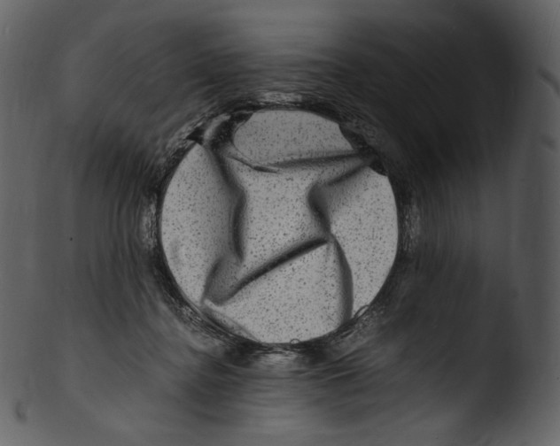 X0000103250364200809251357