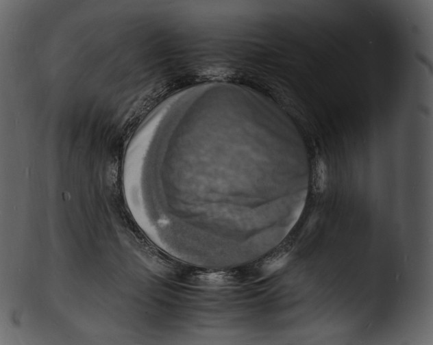 X0000103250365200809251357