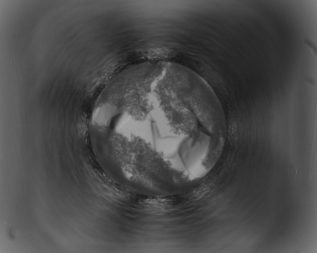 X0000103250367200809251357