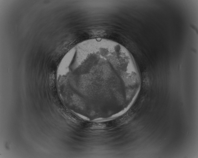 X0000103250369200809251357