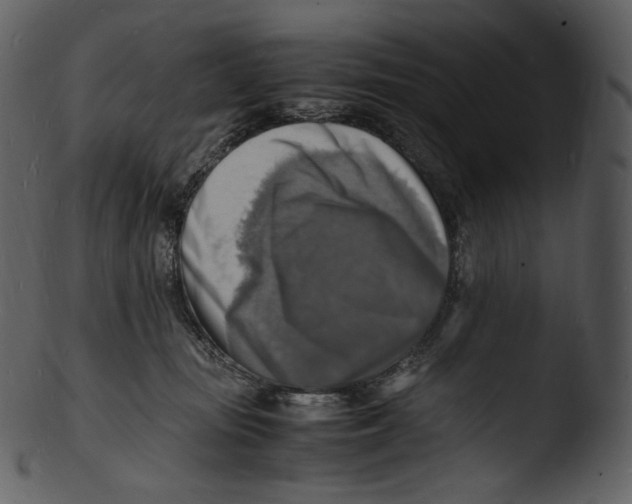 X0000103250371200809251357