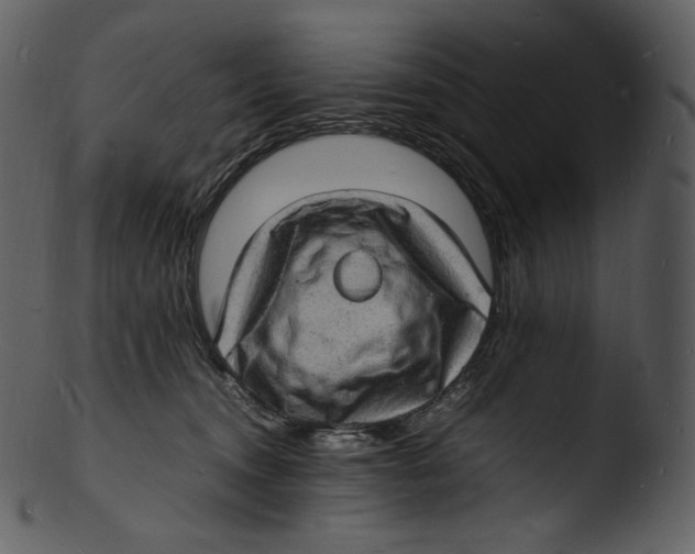 X0000103250372200809251357