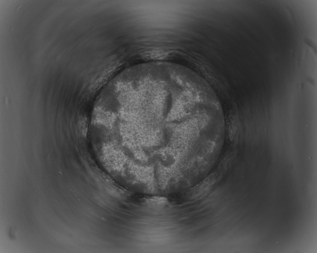 X0000103250374200809251357