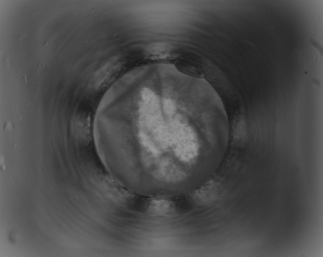 X0000103250376200809251357