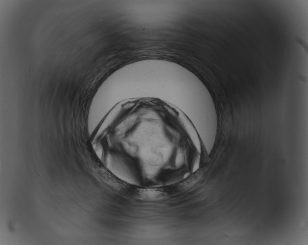 X0000103250380200809251357