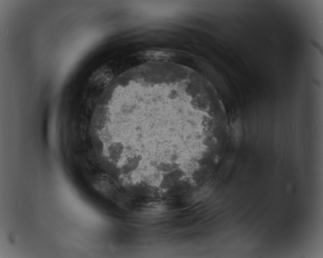 X0000103250381200809251357