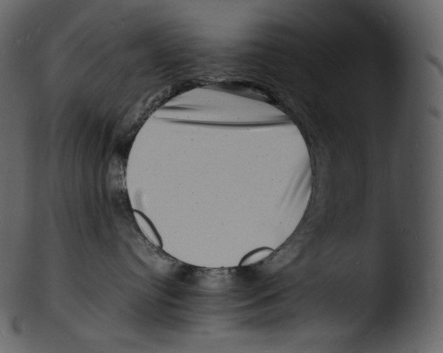 X0000103250384200809251357