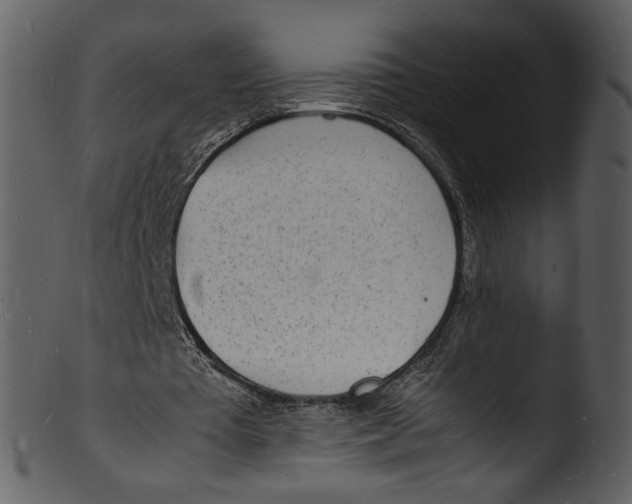 X0000103250385200809251356