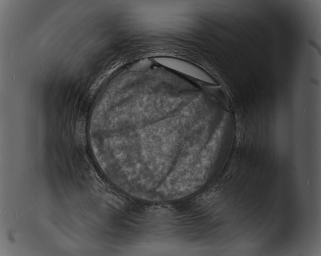 X0000103250386200809251356
