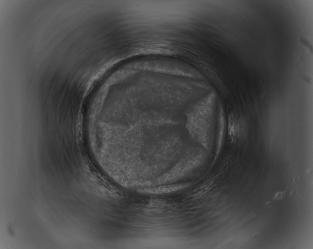 X0000103250388200809251356