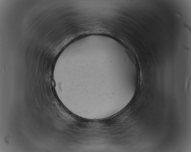 X0000103250389200809251356