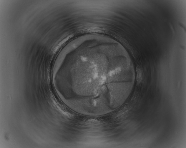 X0000103250390200809251356