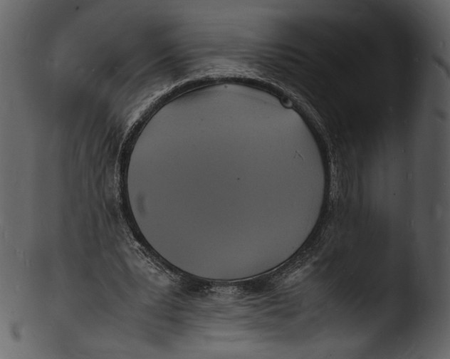 X0000103250391200809251356