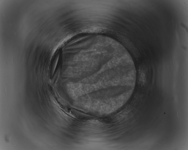 X0000103250392200809251356