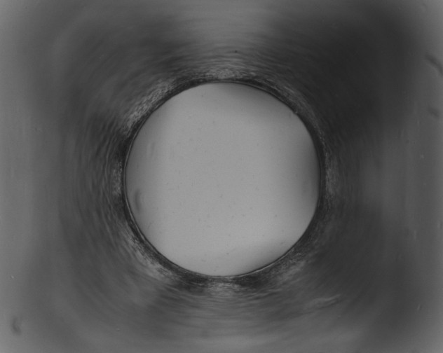 X0000103250393200809251356