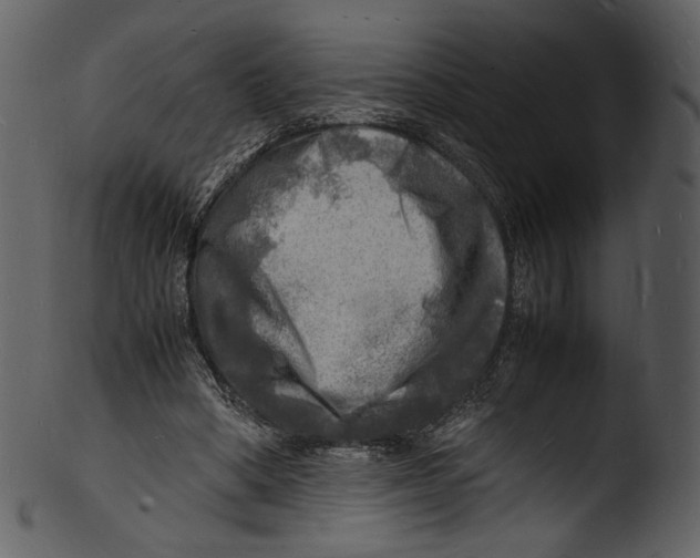 X0000103250394200809251356