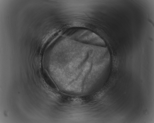 X0000103250395200809251356