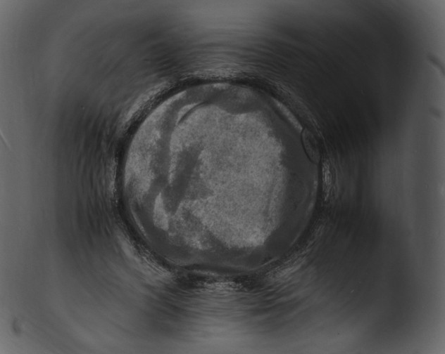 X0000103250396200809251356
