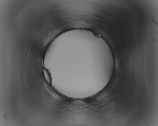 X0000103250397200809251356