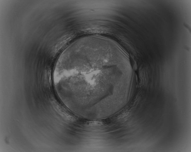 X0000103250398200809251356