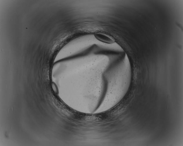 X0000103250399200809251356