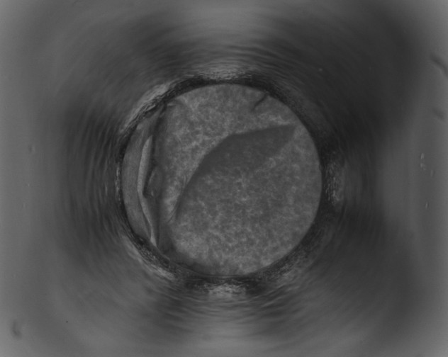 X0000103250400200809251356
