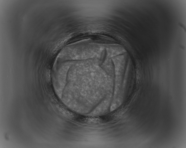 X0000103250401200809251356