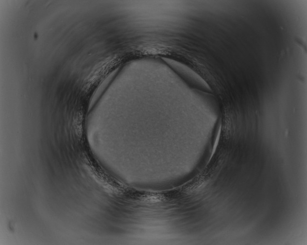 X0000103250402200809251356