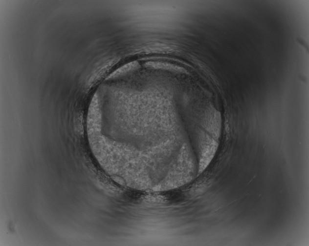 X0000103250403200809251356