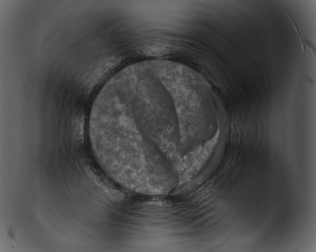 X0000103250404200809251356