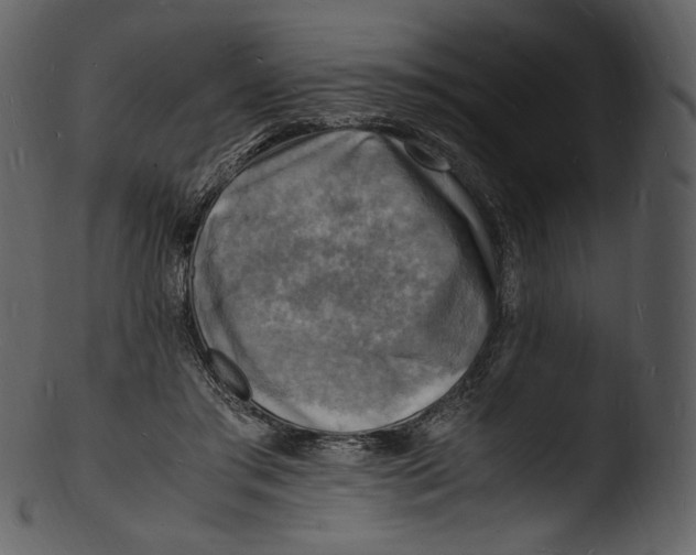 X0000103250405200809251356